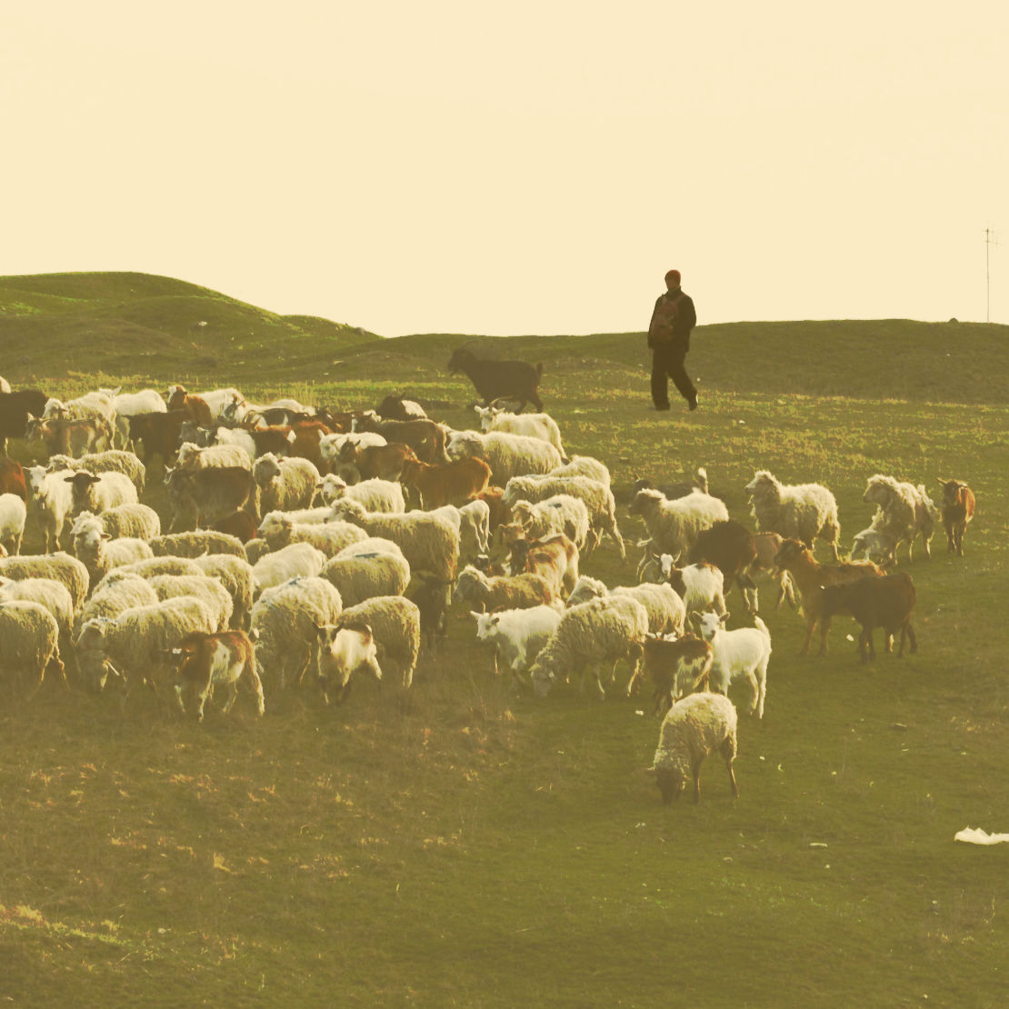 Psalm 23 banner image.jpg