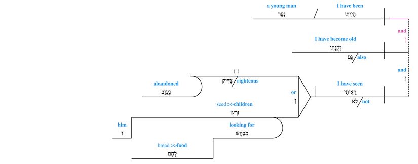 Grammar Psalm 037 - v. 25.jpg