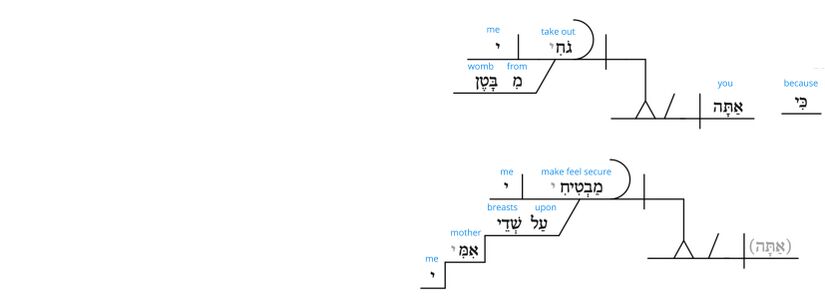 Ps 22 - Grammatical v.10.jpg