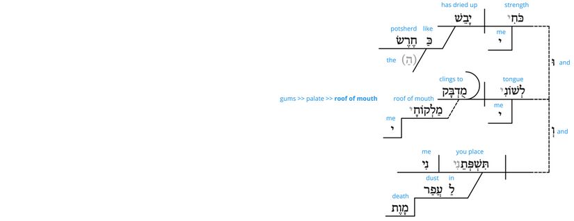 Ps 22 - Grammatical v.16.jpg