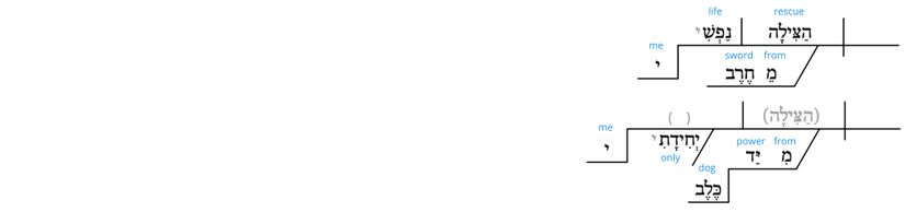 Ps 22 - Grammatical v.21.jpg