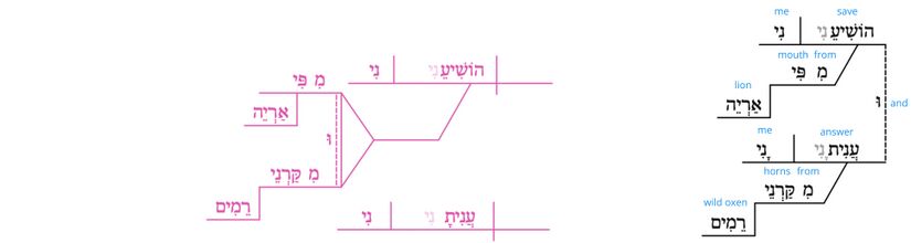 Ps 22 - Grammatical v.22.jpg