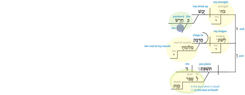 Ps 22 - Phrase v.16.jpg