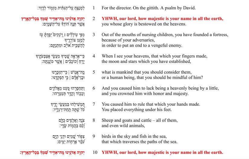 Ps 8 - Poetic feature 1.jpg