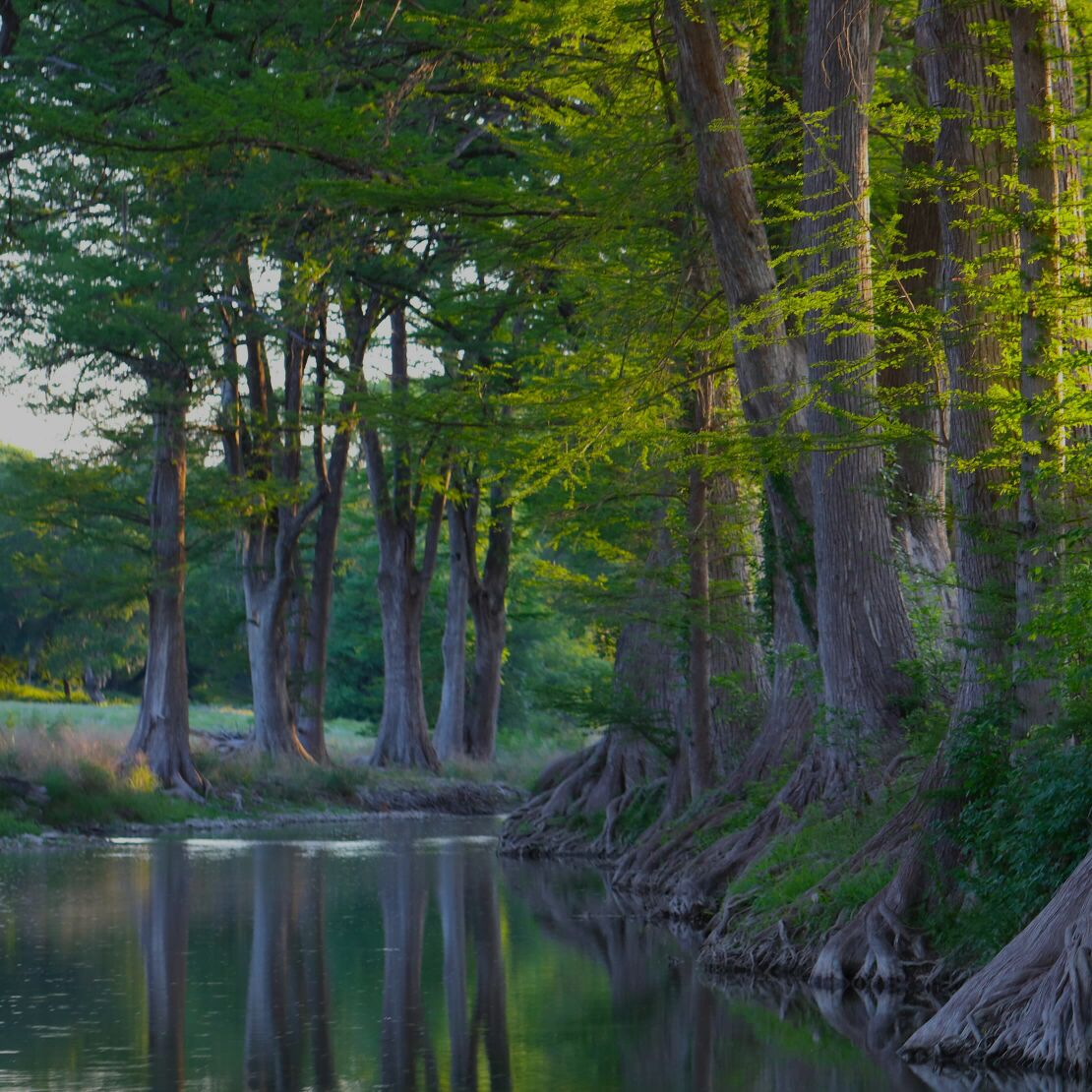 Psalm 001 banner image.jpg