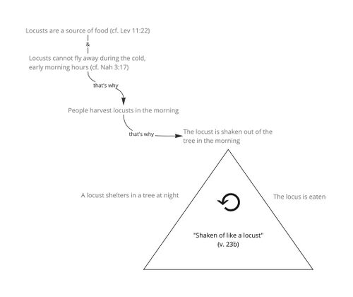 Psalm 109 - Locust.jpg