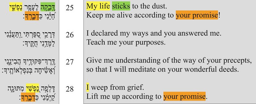 Psalm 11925-28 poetic structure.jpg